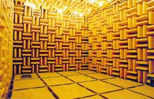 The anechoic room